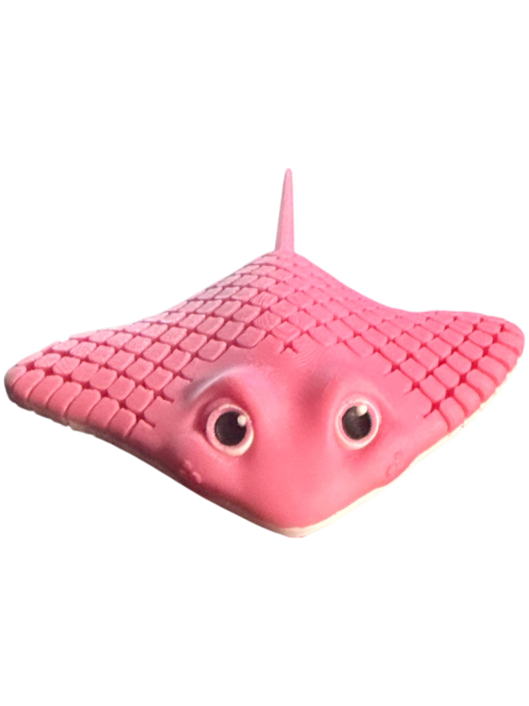 3D‑Printed Fully Articulating Stingray – Unique Flexi Desk Toy & Display Model